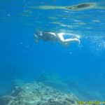 IMG-20210927-WA0007