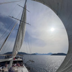 IMG-20230514-WA0039